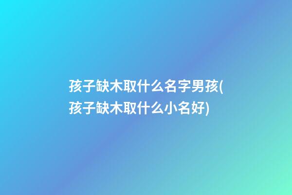 孩子缺木取什么名字男孩(孩子缺木取什么小名好)