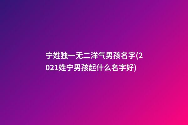 宁姓独一无二洋气男孩名字(2021姓宁男孩起什么名字好)