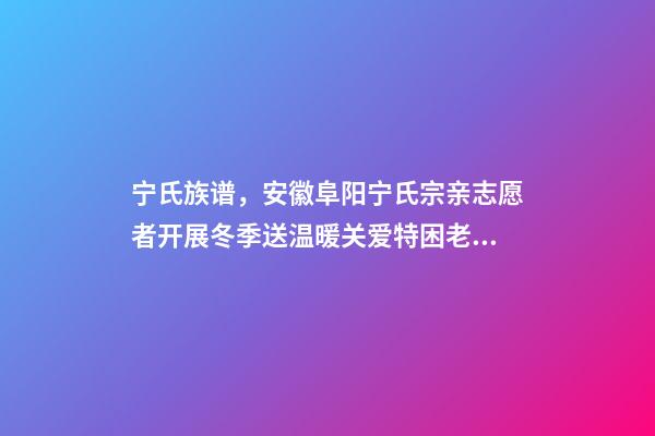 宁氏族谱，安徽阜阳宁氏宗亲志愿者开展冬季送温暖关爱特困老人活动-第1张-观点-玄机派