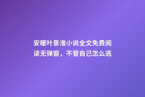 安暖叶景淮小说全文免费阅读无弹窗，不管自己怎么逃-第1张-观点-玄机派
