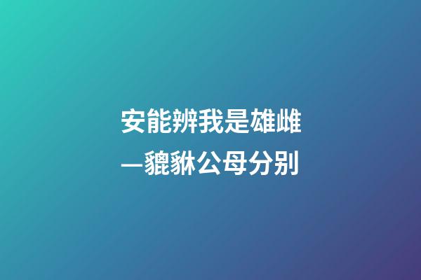 安能辨我是雄雌—貔貅公母分别