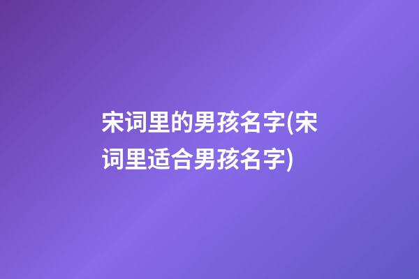 宋词里的男孩名字(宋词里适合男孩名字)