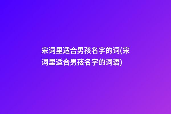 宋词里适合男孩名字的词(宋词里适合男孩名字的词语)