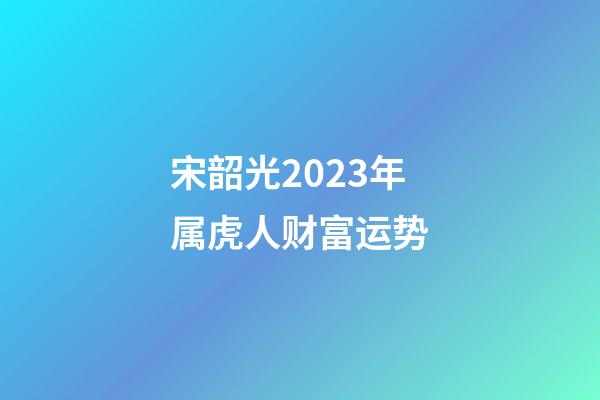宋韶光2023年属虎人财富运势