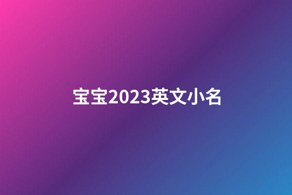 宝宝2023英文小名