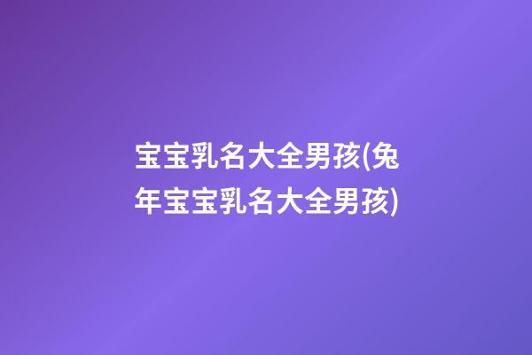 宝宝乳名大全男孩(兔年宝宝乳名大全男孩)