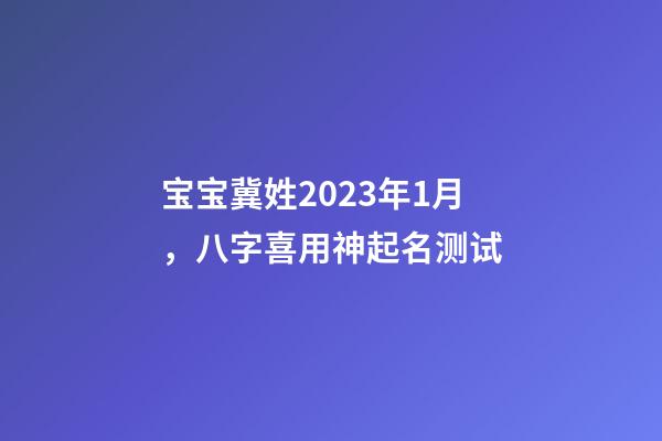 宝宝冀姓2023年1月，八字喜用神起名测试
