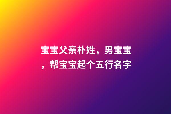 宝宝父亲朴姓，男宝宝，帮宝宝起个五行名字