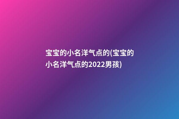 宝宝的小名洋气点的(宝宝的小名洋气点的2022男孩)