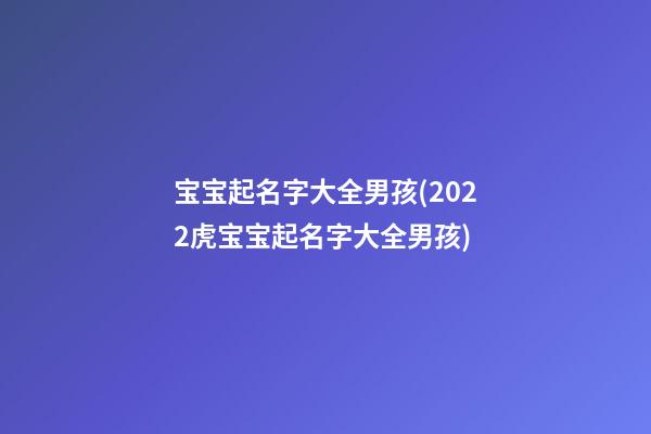 宝宝起名字大全男孩(2022虎宝宝起名字大全男孩)