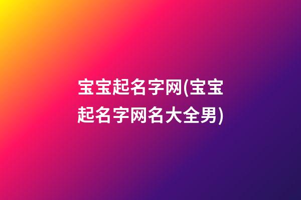 宝宝起名字网(宝宝起名字网名大全男)