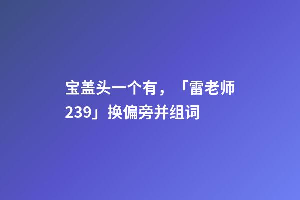 宝盖头一个有，「雷老师239」换偏旁并组词-第1张-观点-玄机派