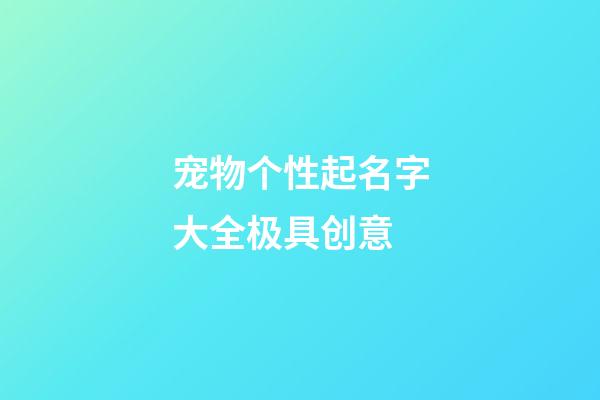 宠物个性起名字大全极具创意