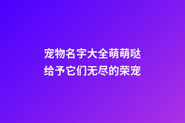 宠物名字大全萌萌哒给予它们无尽的荣宠