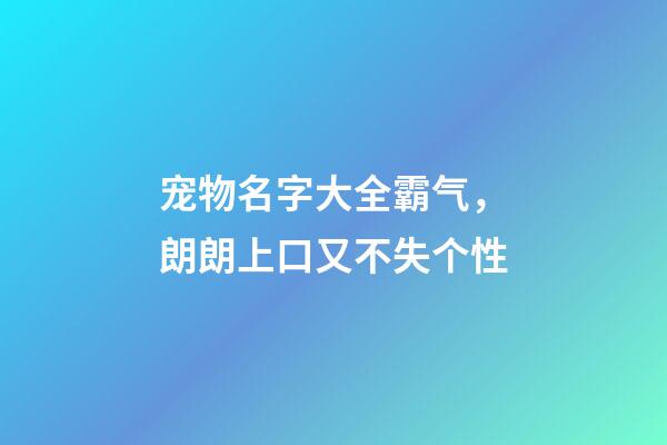 宠物名字大全霸气，朗朗上口又不失个性