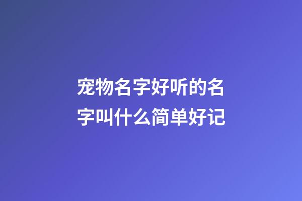 宠物名字好听的名字叫什么简单好记