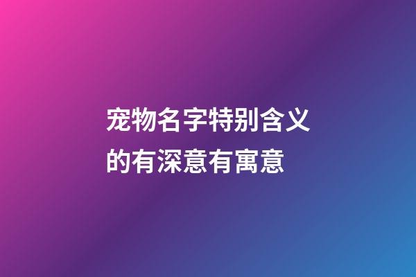 宠物名字特别含义的有深意有寓意