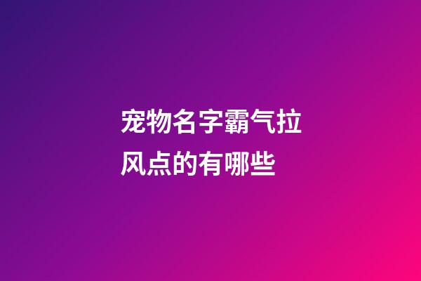 宠物名字霸气拉风点的有哪些