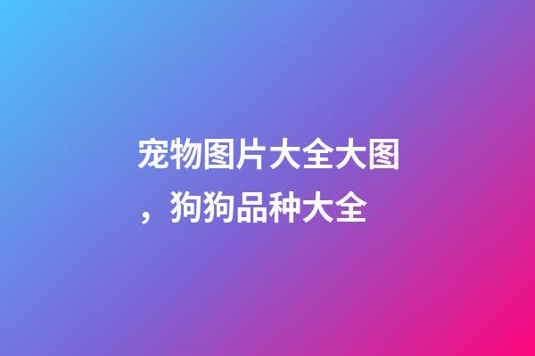 宠物图片大全大图，狗狗品种大全(带图片)-第1张-观点-玄机派