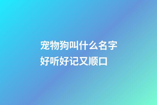 宠物狗叫什么名字好听好记又顺口