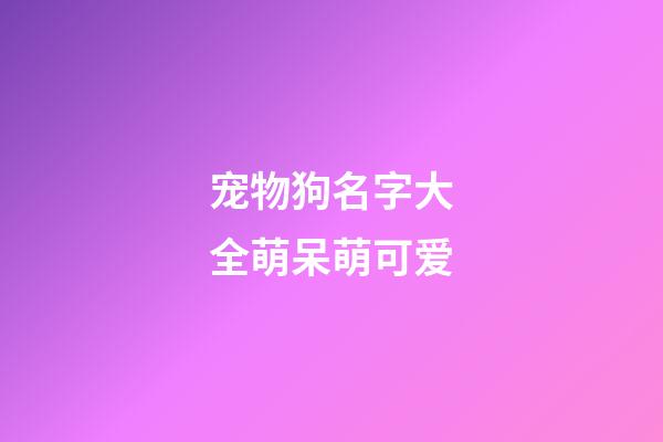 宠物狗名字大全萌呆萌可爱