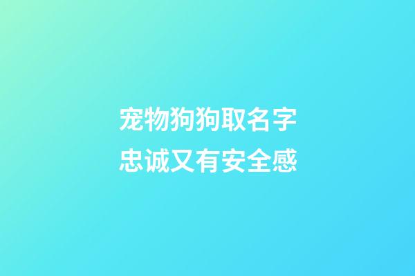 宠物狗狗取名字忠诚又有安全感