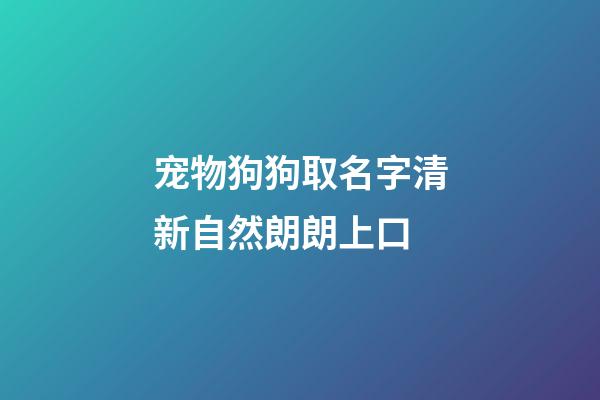 宠物狗狗取名字清新自然朗朗上口