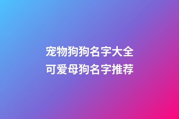 宠物狗狗名字大全可爱母狗名字推荐