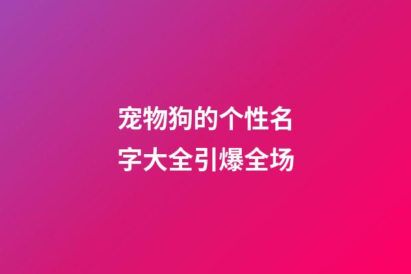 宠物狗的个性名字大全引爆全场