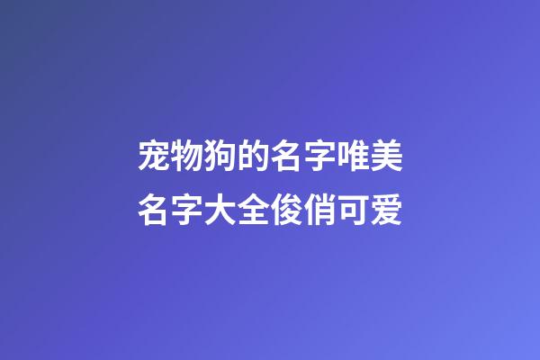 宠物狗的名字唯美名字大全俊俏可爱