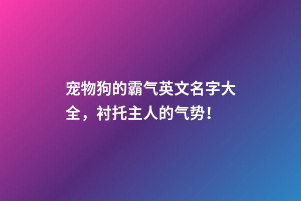 宠物狗的霸气英文名字大全，衬托主人的气势！