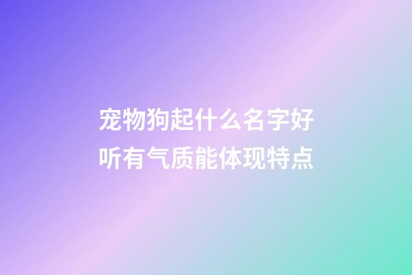 宠物狗起什么名字好听有气质能体现特点