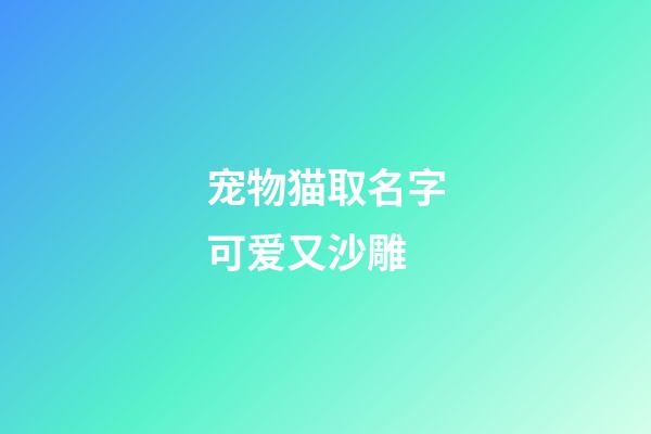 宠物猫取名字可爱又沙雕