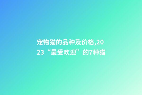 宠物猫的品种及价格,2023“最受欢迎”的7种猫-第1张-观点-玄机派