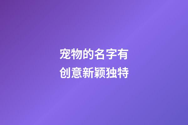 宠物的名字有创意新颖独特