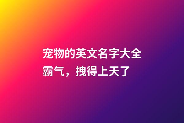 宠物的英文名字大全霸气，拽得上天了