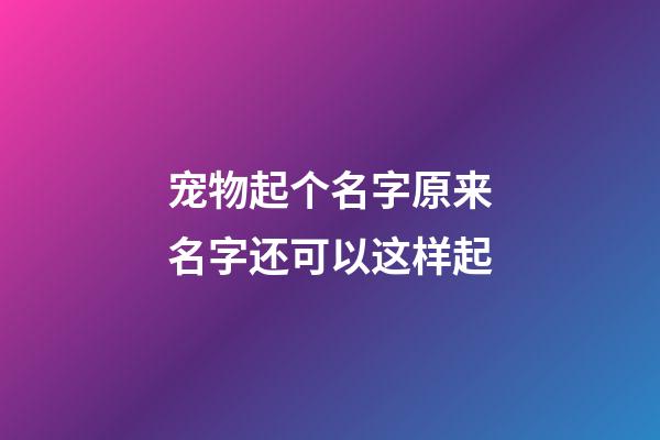 宠物起个名字原来名字还可以这样起