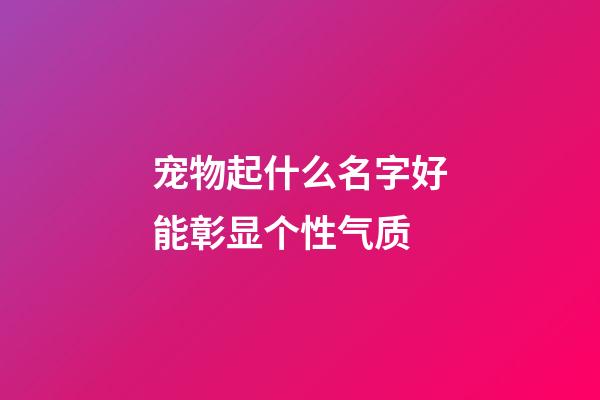 宠物起什么名字好能彰显个性气质
