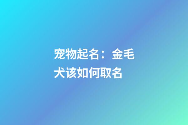 宠物起名：金毛犬该如何取名