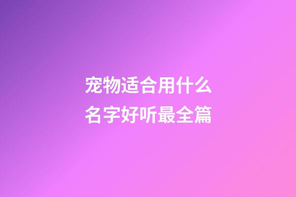 宠物适合用什么名字好听最全篇