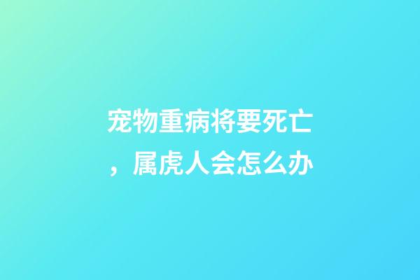 宠物重病将要死亡，属虎人会怎么办