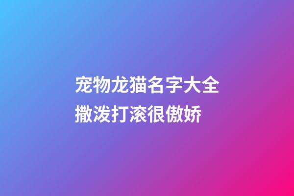宠物龙猫名字大全撒泼打滚很傲娇
