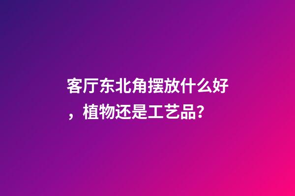 客厅东北角摆放什么好，植物还是工艺品？