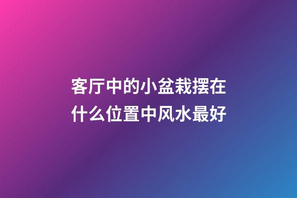 客厅中的小盆栽摆在什么位置中风水最好