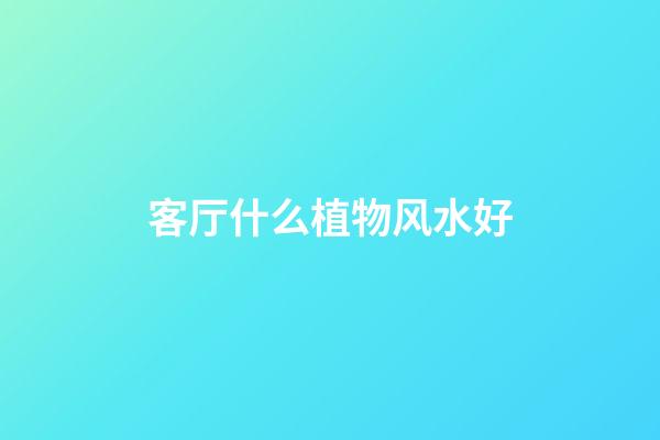 客厅什么植物风水好
