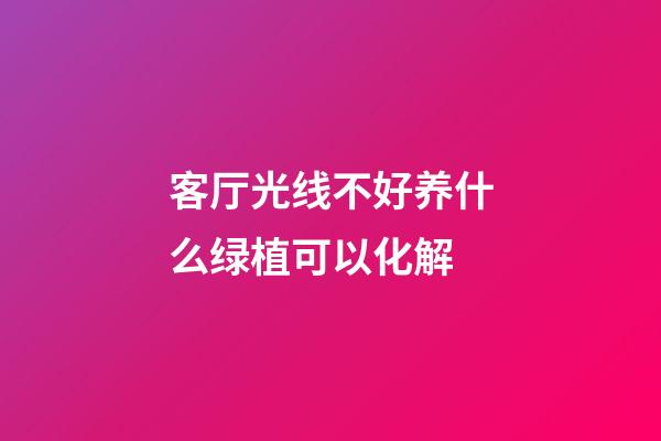 客厅光线不好养什么绿植可以化解