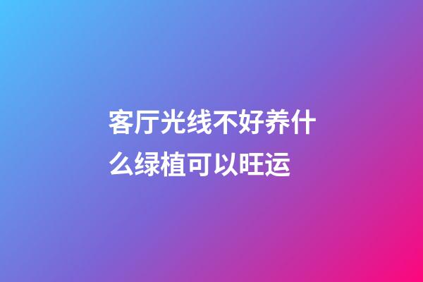 客厅光线不好养什么绿植可以旺运