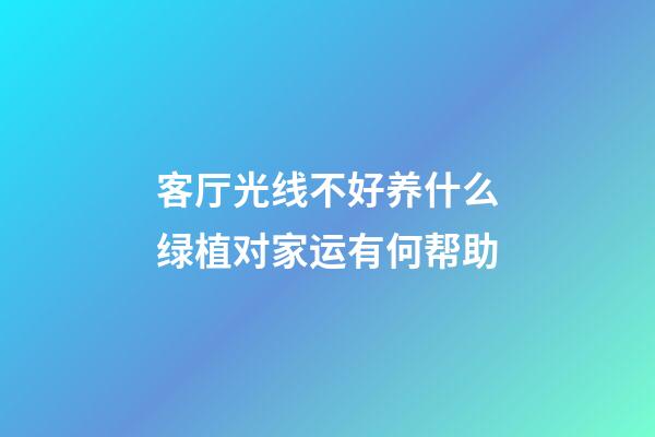 客厅光线不好养什么绿植对家运有何帮助