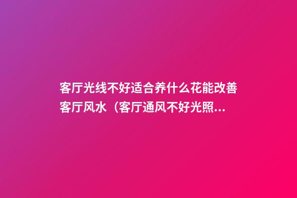 客厅光线不好适合养什么花能改善客厅风水（客厅通风不好光照不好适合养啥花）