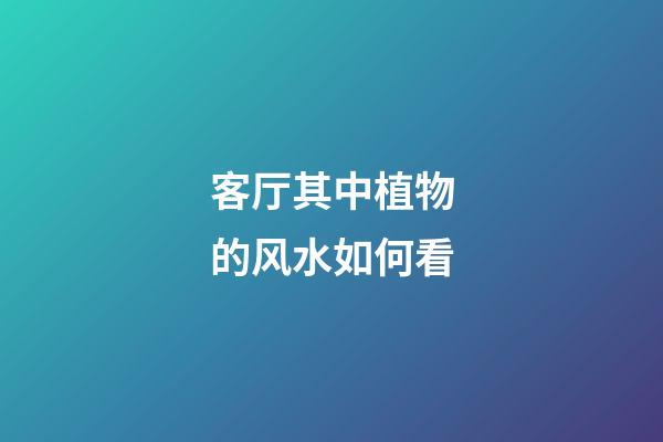 客厅其中植物的风水如何看